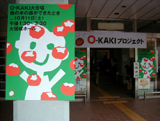 kaki05